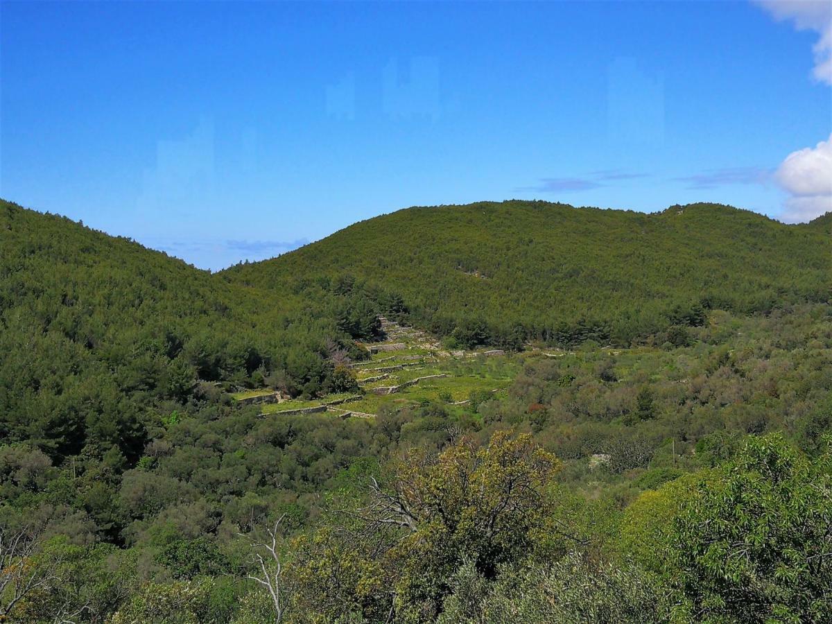 Babino Polje Countryside Vacation House Vitez מראה חיצוני תמונה