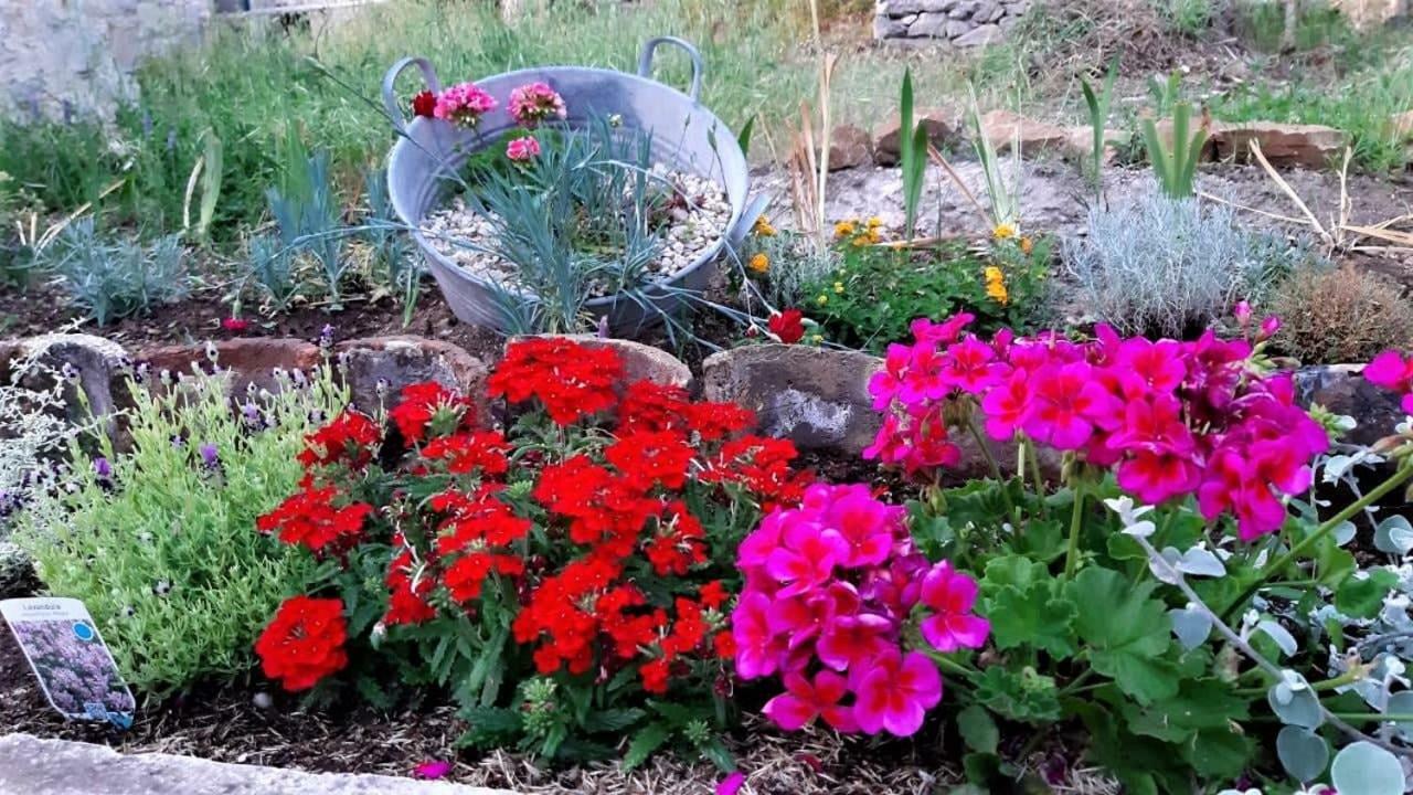 Babino Polje Countryside Vacation House Vitez מראה חיצוני תמונה