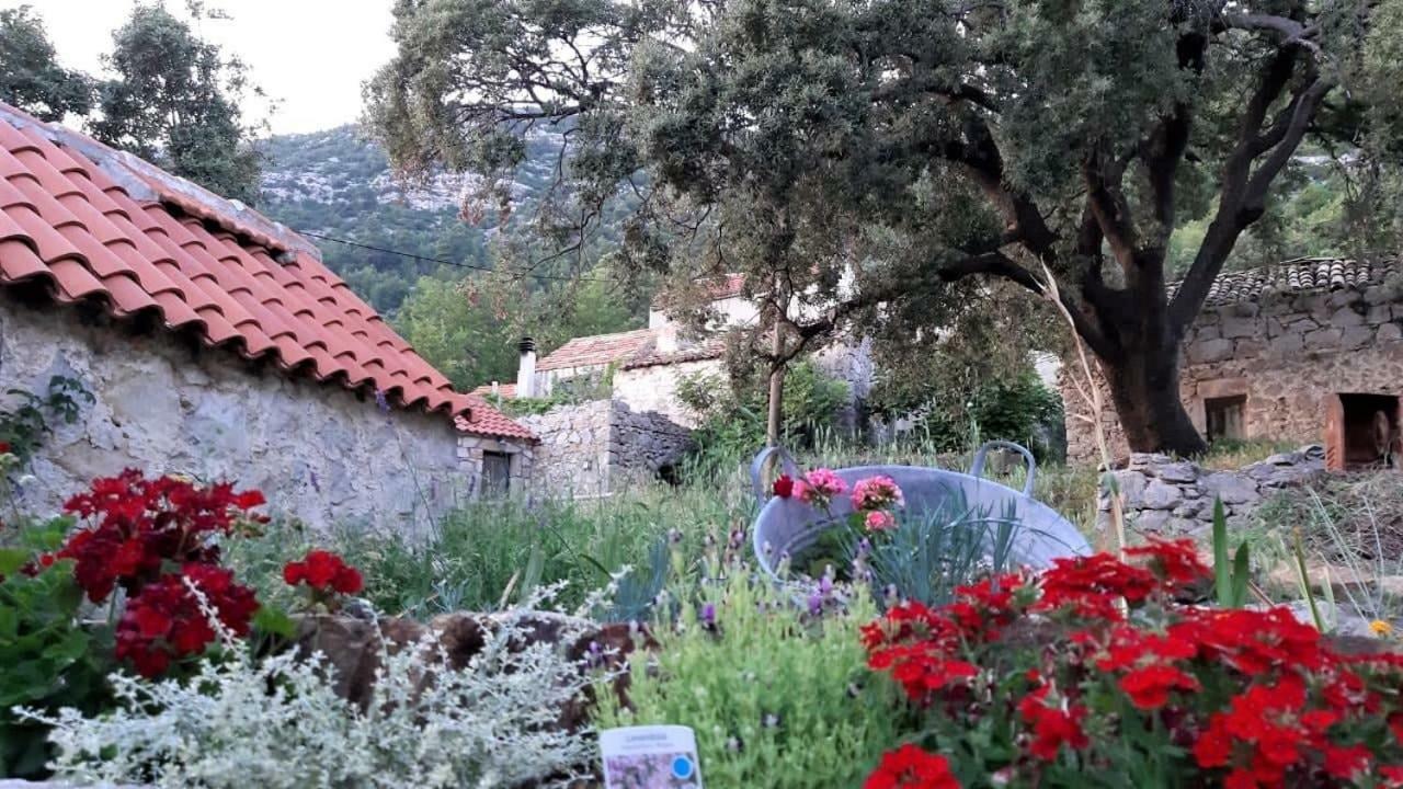 Babino Polje Countryside Vacation House Vitez מראה חיצוני תמונה
